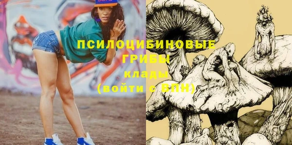 apvp Алзамай